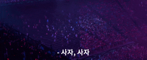 17524688331376.gif
