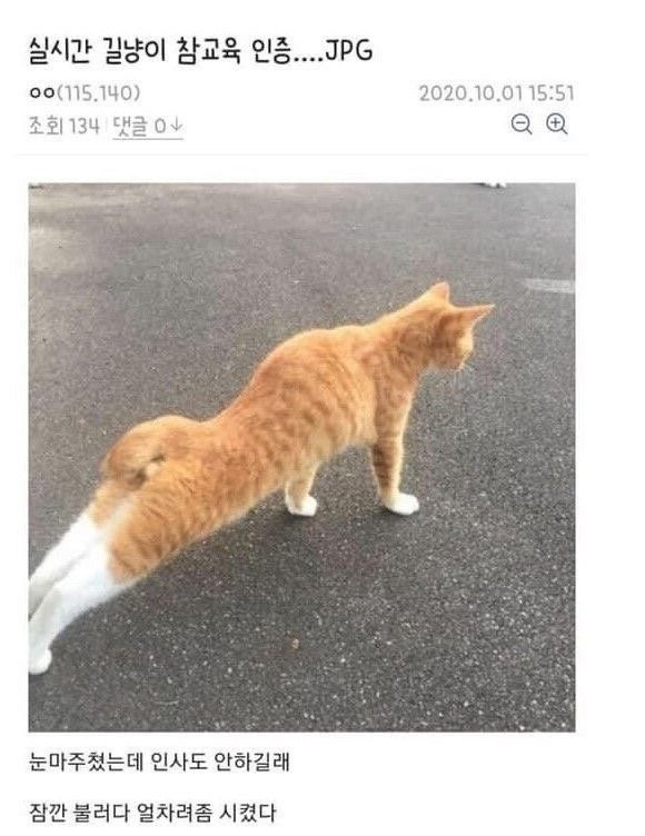 17535809845949.jpg