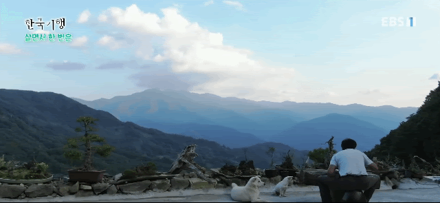 17539251684972.gif