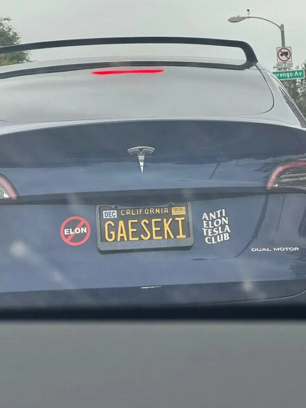 17507344291121.jpg