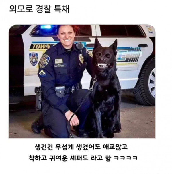 17522181426469.png