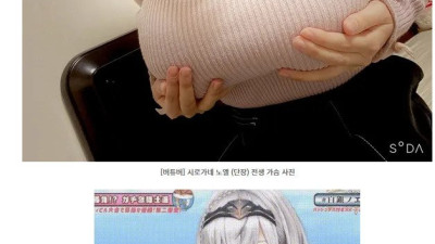 냉혹한 버튜버 세계 