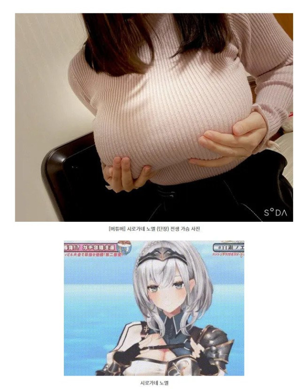 17501296296489.jpg