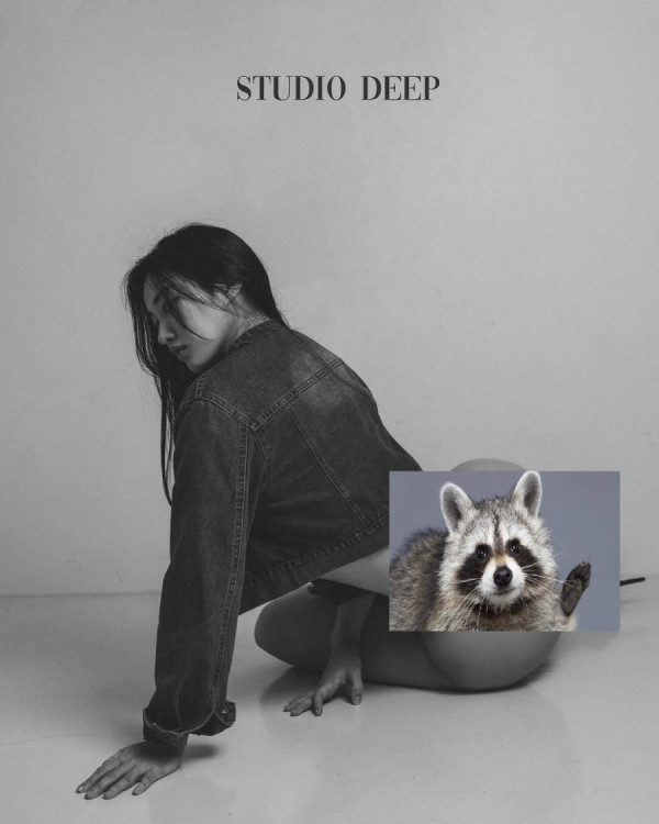 17558403227779.jpg