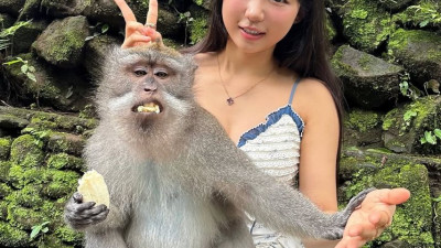 발리 여행 표은지