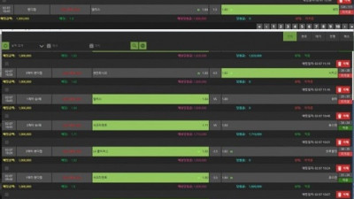 스무살 먹튀입니다