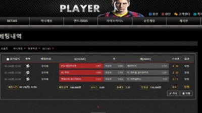 플레이어 먹튀사이트 조심