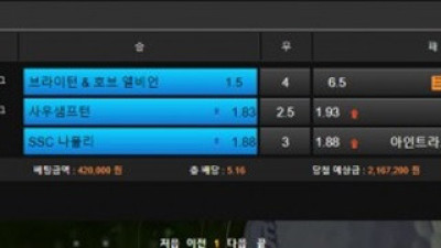 스윙 먹튀오집니다 이용중지하세요