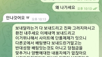 체크 먹튀