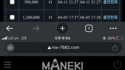 마네키 먹튀제보