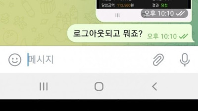 포켓 먹튀