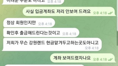 네스벳 먹튀신고