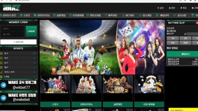 웨이크 소액먹튀
