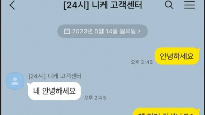 니케 먹튀