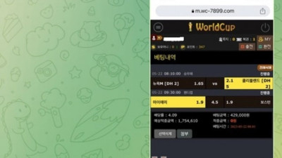 체크 먹튀제보