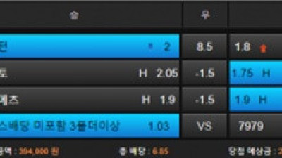 스위트 먹튀조심하세요