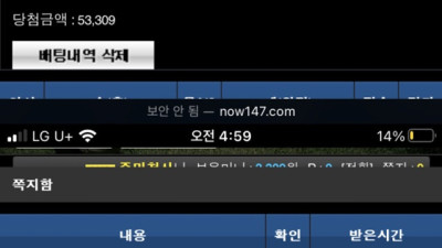 나우 먹튀 이용중지 하세요