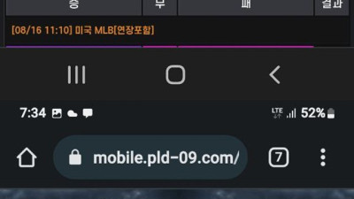 팔라딘 먹튀요