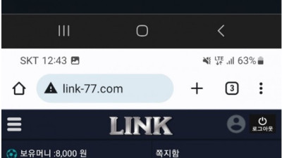 링크 먹튀