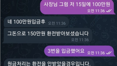 비버 먹튀
