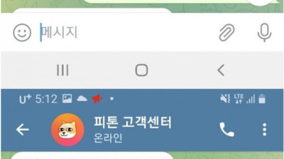 피톤 먹튀