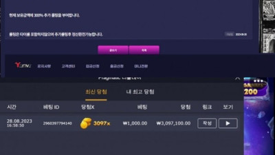 Y존 먹튀