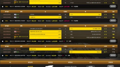 더라인 먹튀조심하세요