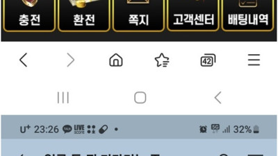 엘리나 먹튀요