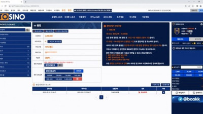 토지노 먹튀요
