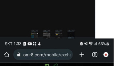 온그린 먹튀