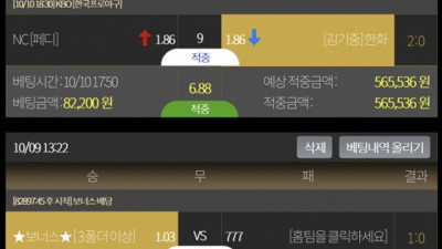 엘리나 먹튀 조심하세요