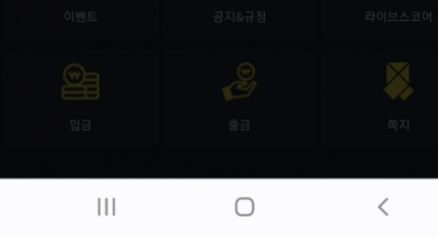 미미 먹튀