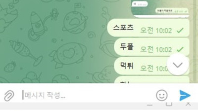 다음뱃 먹튀주의