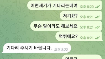 끼벳 먹튀제보
