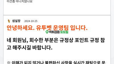 유투벳 핑돈까지 꼽는 사이트