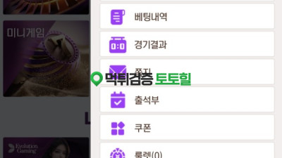 블링벳 3000ㅁㅌ