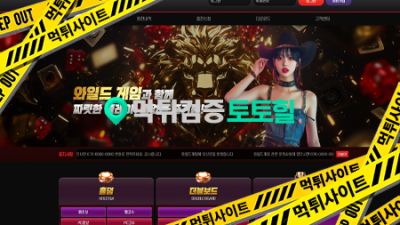 와일드 먹튀