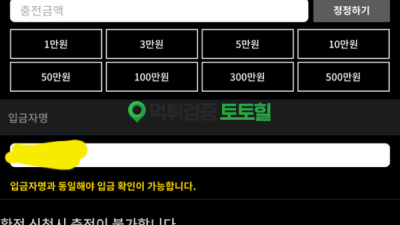 100만원 없는 구데기 사이트 쓰지마세요