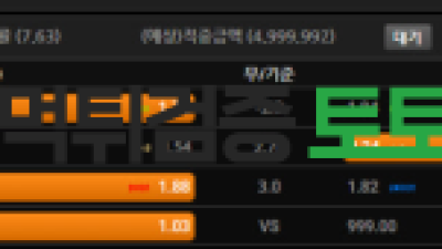 젤다 먹튀