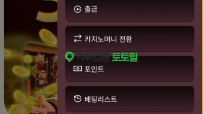 카카오지노 저도 먹튀....