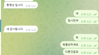 네네 개쌉먹싸