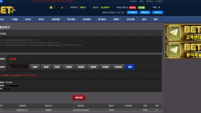 벳 91만 먹튀요