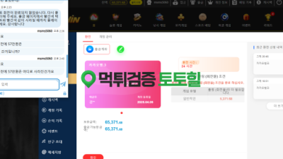 개 소액 먹튄,,,