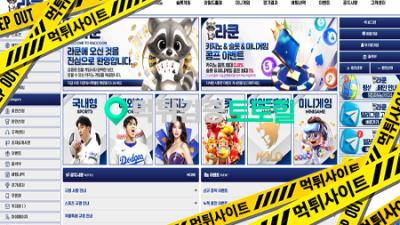 라쿤 먹튀