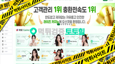 라이즈