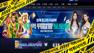 딥시크 189만원 먹튀요.