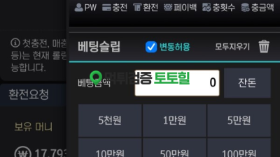 퐁 먹튀1800만