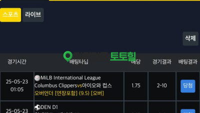 미미 먹튀