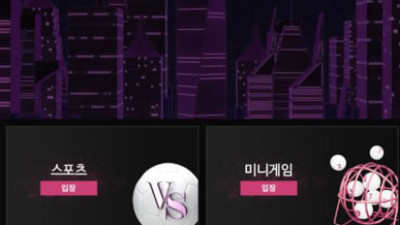 신도시 먹튀