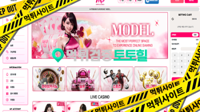 모델카지노 스포츠적중금+전액몰수